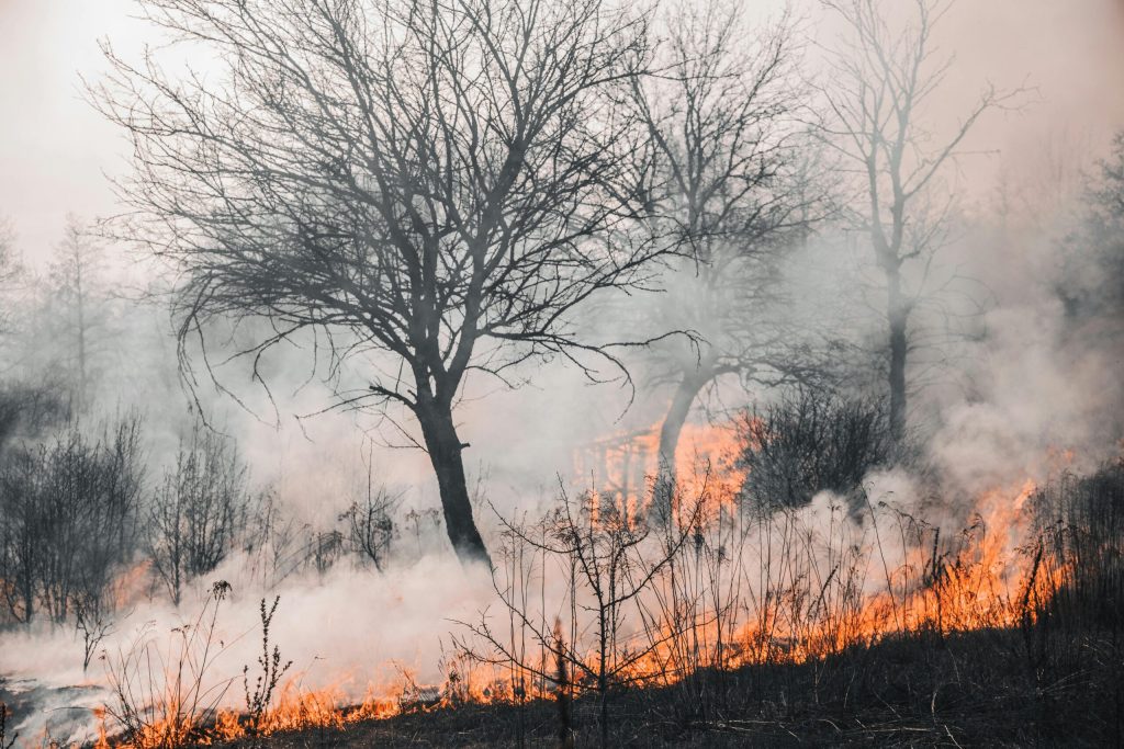 Southern Europe reels as deadly wildfires spread amid record heat