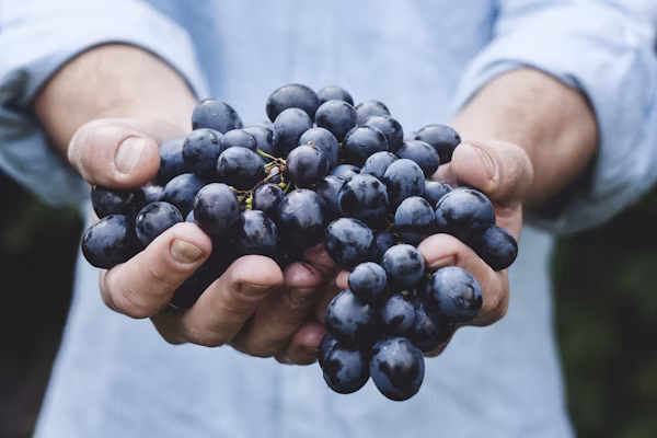 Non-vintage wines gain popularity as climate disrupts vineyards