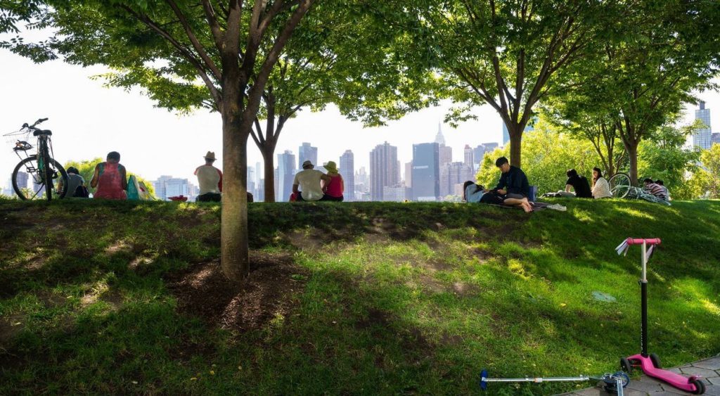 Urban Trees Boost New York Life